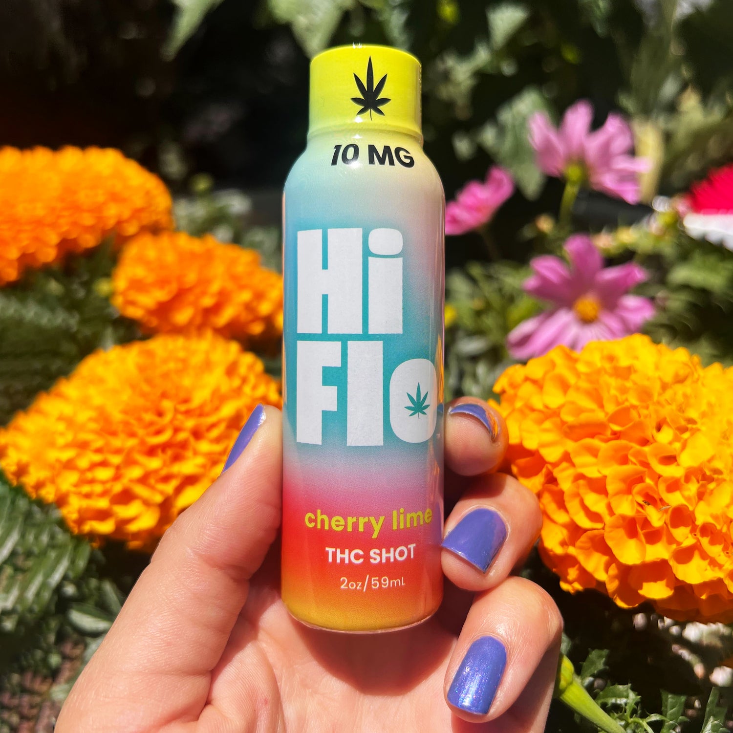 HiFlo Cherry Lime 10mg THC Shot (12-PK)